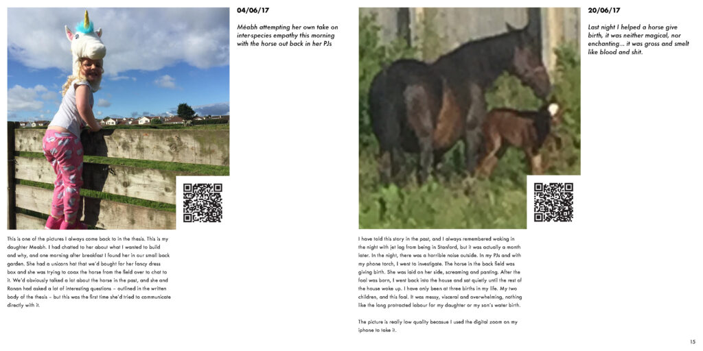 Imagine Otherwise - Equine Eyes Reflective Diary_Page_09