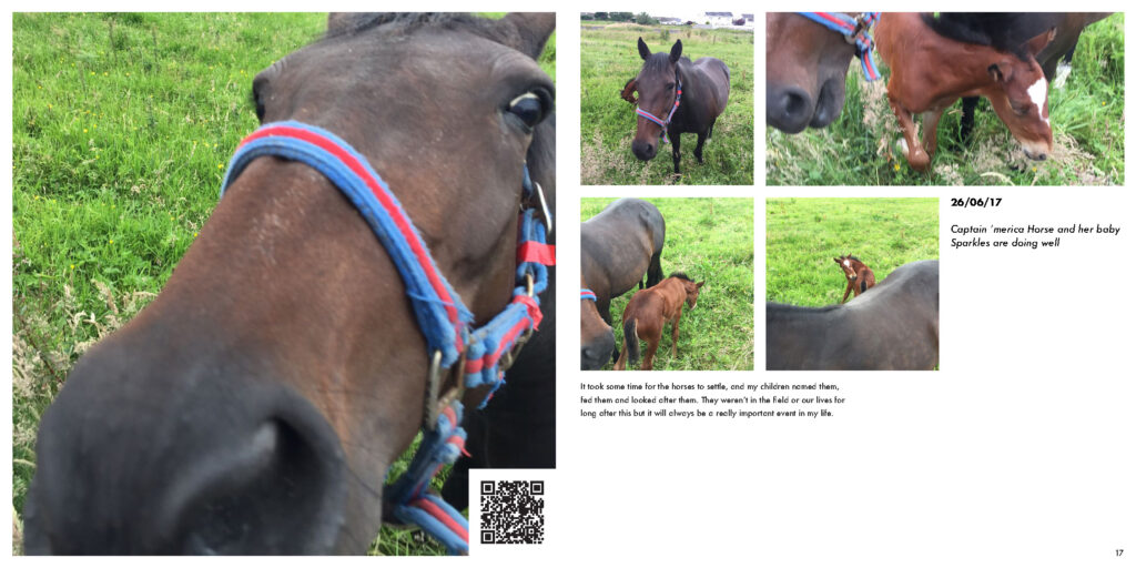 Imagine Otherwise - Equine Eyes Reflective Diary_Page_10
